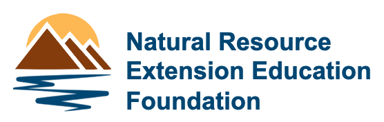 Color Logo and 3 line text no background - NREE Foundation